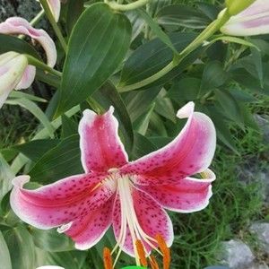 Meet your Posher, Diana